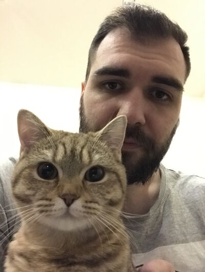  -,   , 29 ,   ,   