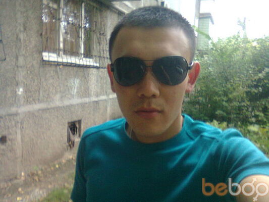  ,   ARCHI, 37 ,     , c 