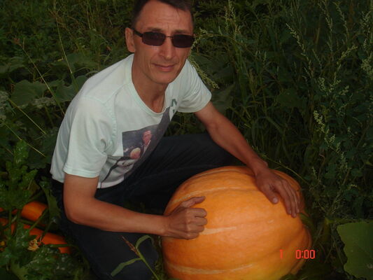  ,   , 59 ,   
