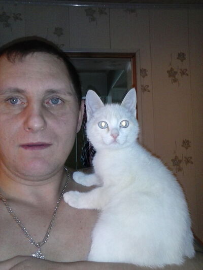  ,   , 44 ,   ,   , c 