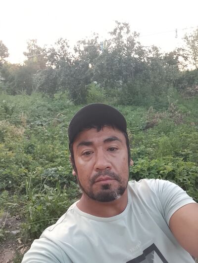  ,   , 43 ,   ,   
