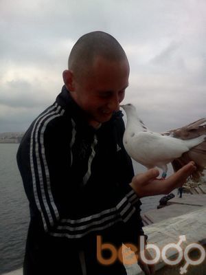  ,   , 37 ,   