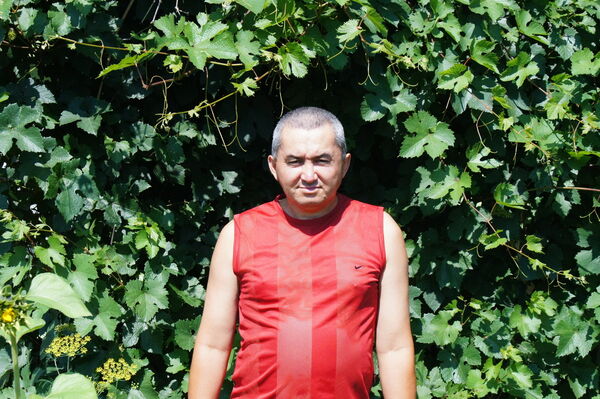  ,   , 50 ,   ,   , c 