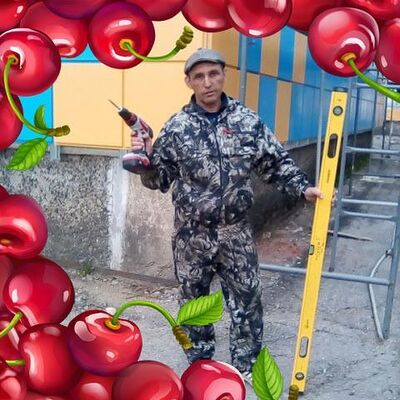  ,   , 53 ,   ,   