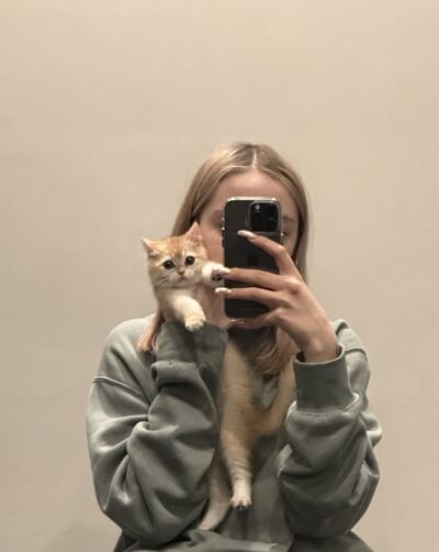 ,   , 21 ,   