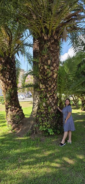  --,   , 40 ,   ,   , c , 