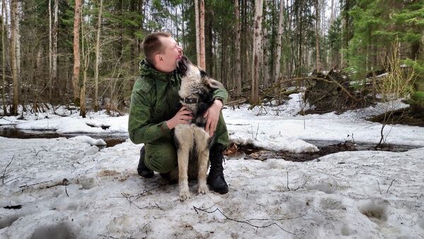  -,   , 33 ,   ,   , c 