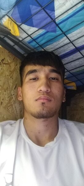  -,   Abu, 24 ,   ,   , c 