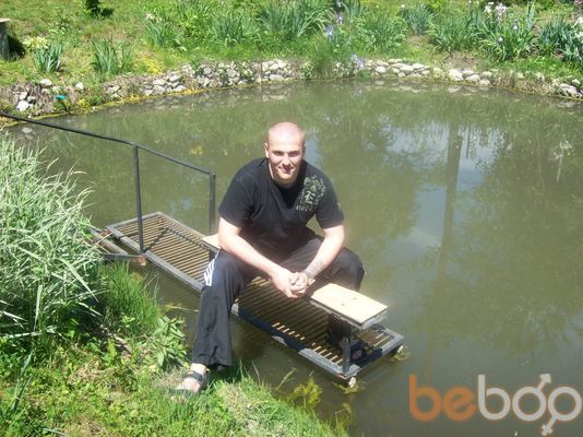 ���������� ��������, ���� ������� ����, 43 ����, ������������ ��� ������