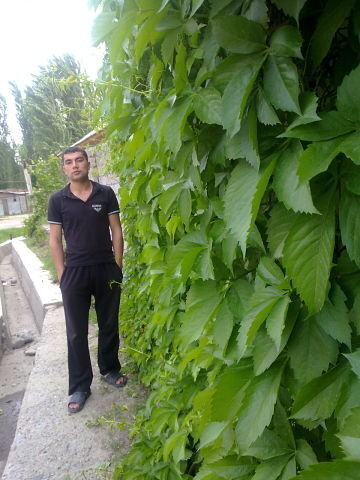  ,   Alex, 36 ,     , c , 