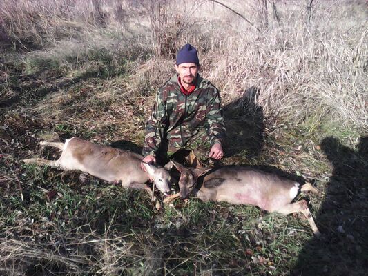  ,   , 43 ,   ,   , c 