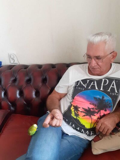  ,   , 62 ,   ,   