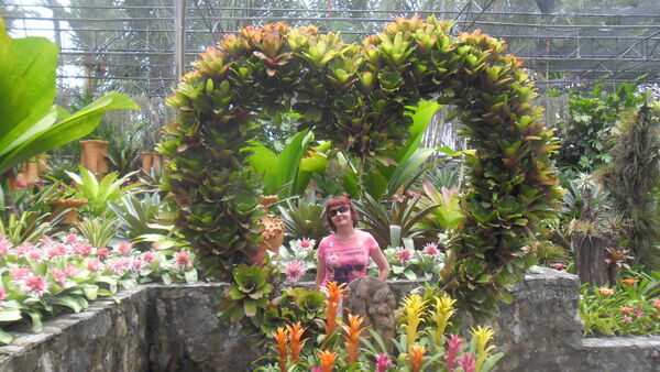  ,   , 56 ,   ,   , c 