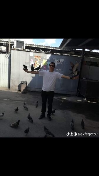 ,   Alex, 40 ,   ,   , c 