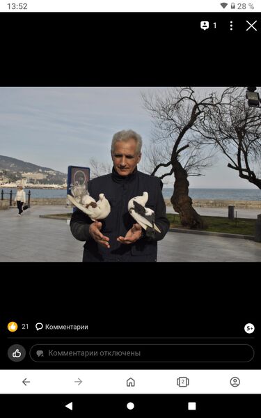  ,   , 60 ,   ,   