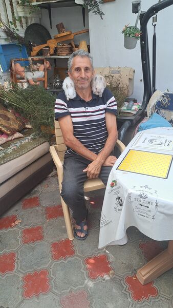  --,   , 48 ,   ,   