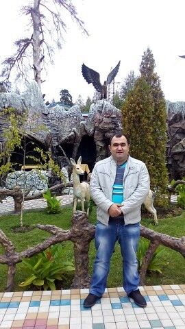  ,   Arman, 44 ,   ,   , c 