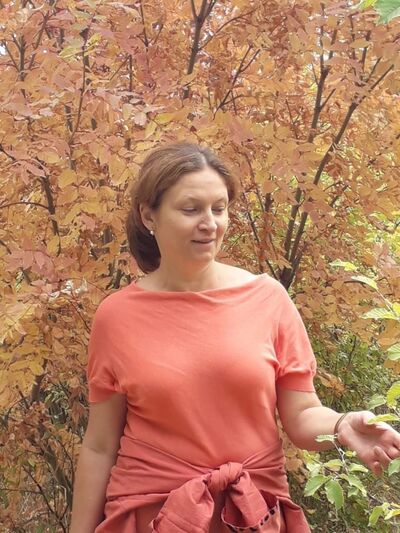   ,   , 49 ,   ,   