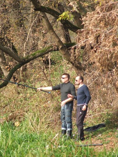  ,   Veter, 46 ,   ,   , c 