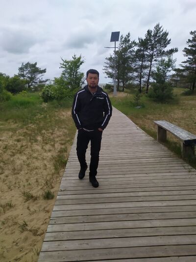  ,   ODIL, 29 ,   ,   , c 