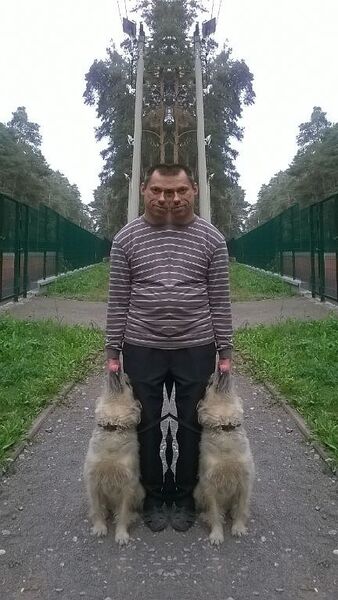  ,   , 52 ,     , c 