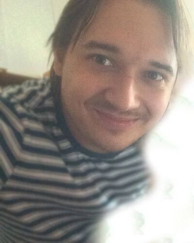  ,     , 41 ,  