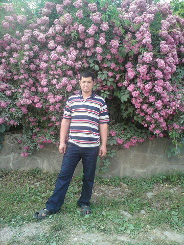 ,   Ikrom, 40 ,   ,   , c 