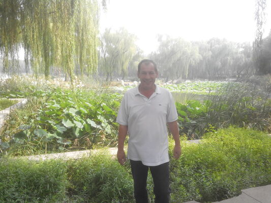  ,   , 55 ,   
