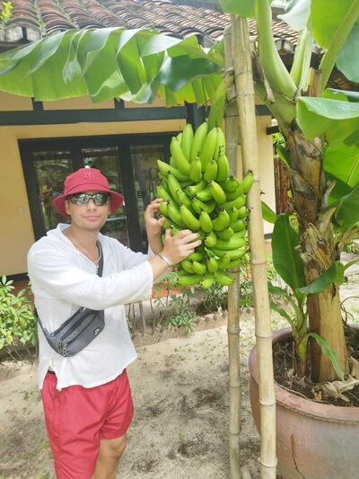  ,   , 31 ,   ,   , c , 