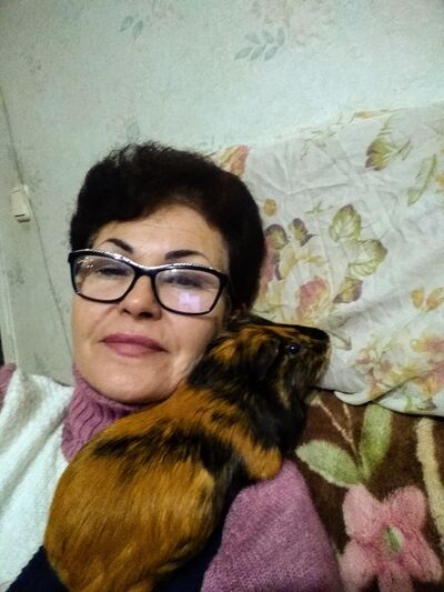  ,   , 56 ,   ,   