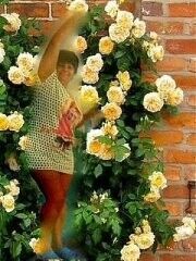  ,   , 60 ,  