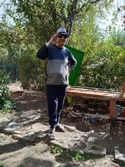  ,   Icbol, 70 ,   ,   
