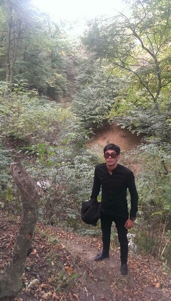  ,   Aqshin, 31 ,   ,   , c 