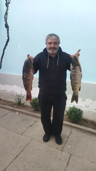  ,   , 61 ,   ,   