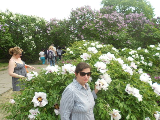  ,   , 40 ,     , c 