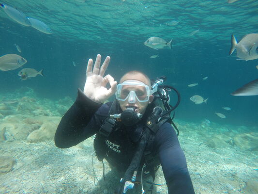  ,   Dima, 40 ,     , c 