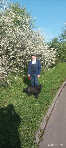  ,   Vasiles, 48 ,   ,   