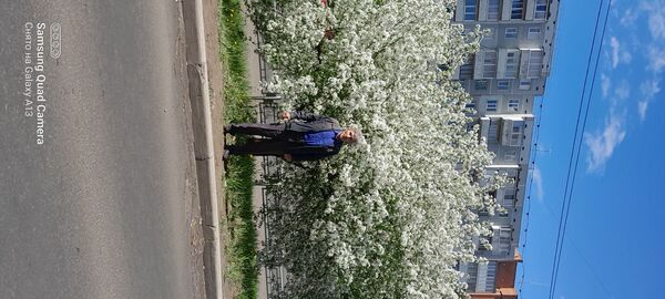  -,   , 67 ,   c 