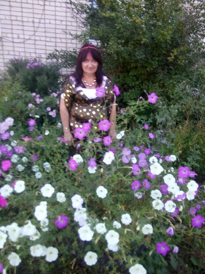 ,   , 66 ,   ,   