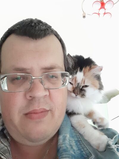  ,   Absi, 46 ,   ,   , c , 