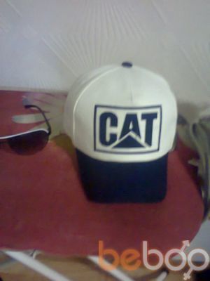  ,   Cat, 40 ,   