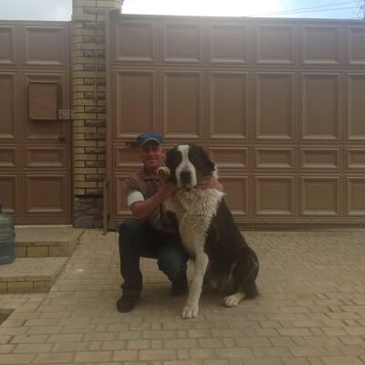  ,   , 57 ,   ,   , c 