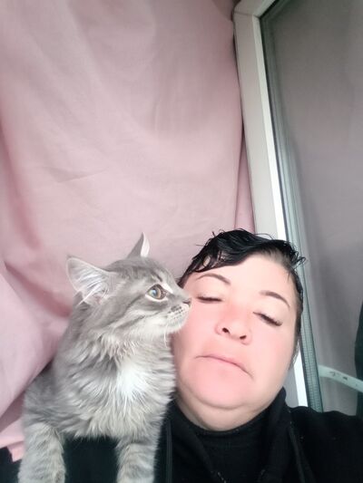  ,   , 43 ,     , c , 