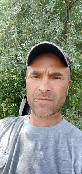  ,   , 48 ,   c 