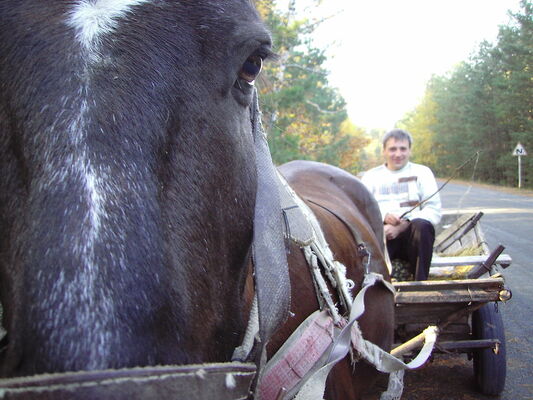  ,   , 60 ,   ,   , c 