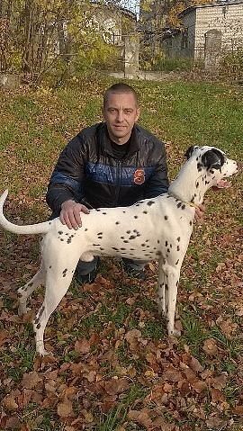  ,   , 44 ,   