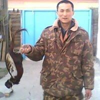 ,   , 50 ,   