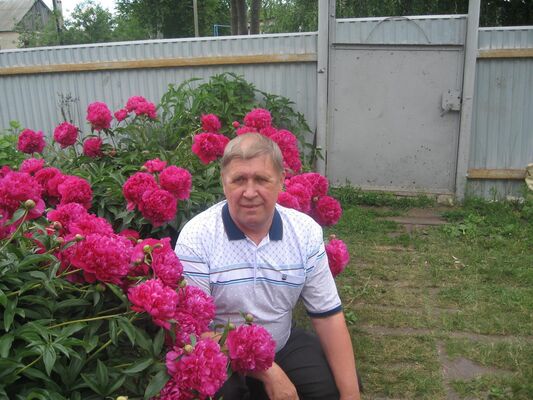  ,   , 65 ,   ,   