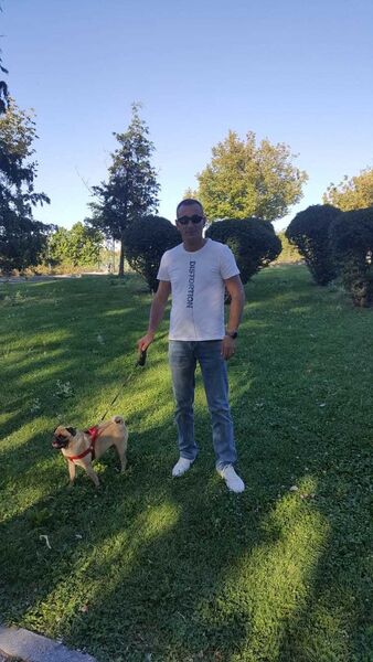  ,   Murat, 50 ,   ,   , c 