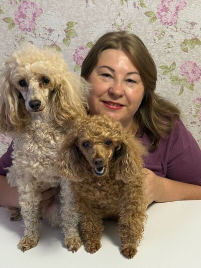  --,   , 47 ,     , c 